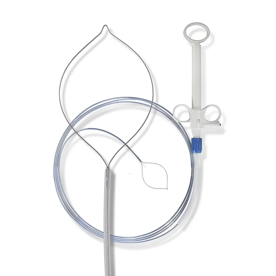 Endoscope Snare